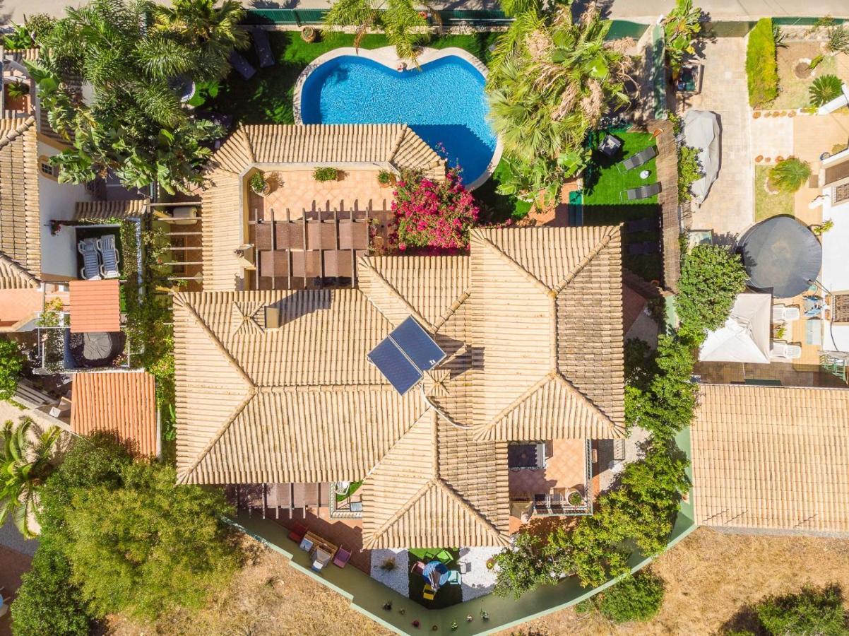 Oasis Tropical, Jardim E Piscina! Apartment ปอร์ติเมา ภายนอก รูปภาพ